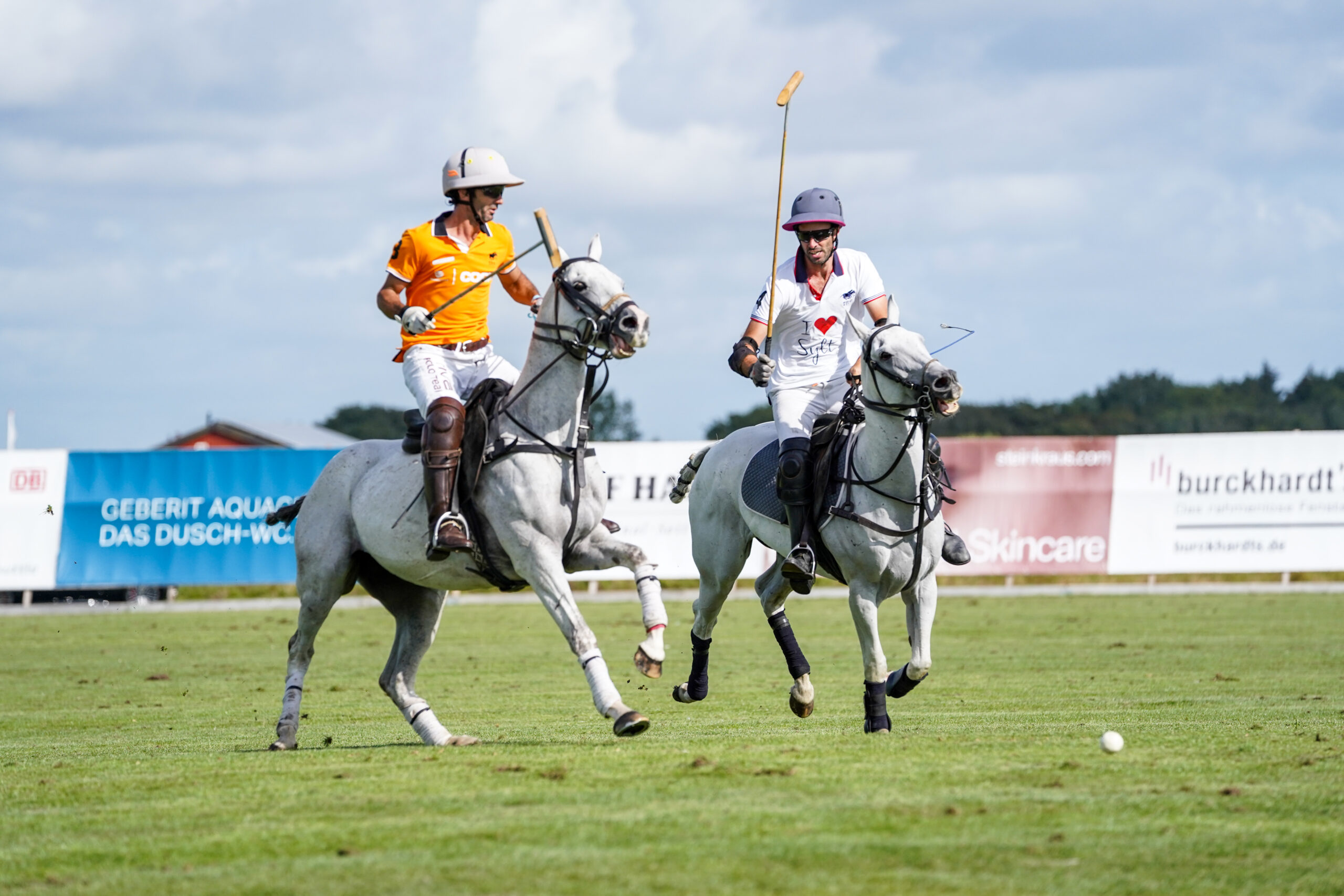 Sylt - Duell zweier Poloreiter